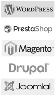 WordPress, Drupal, PrestaShop, Joomla & Magento design and development solutions